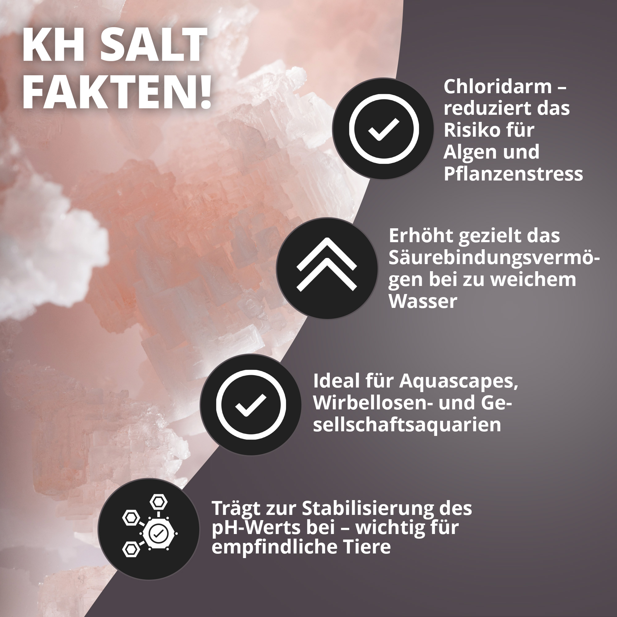 Aquariensalz KH Salt vor rosa Kristallen, Icons mit Vorteile